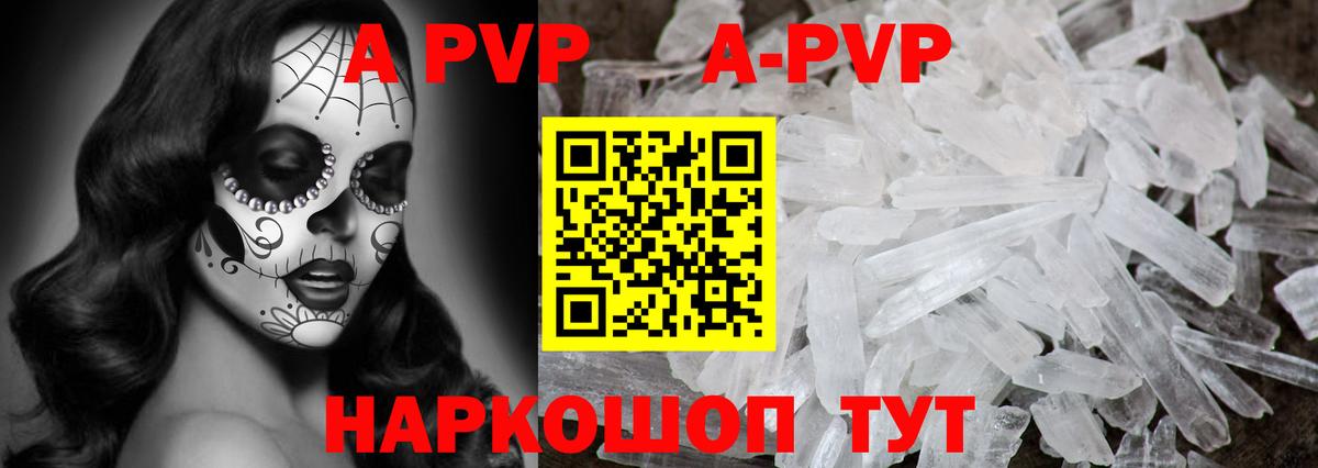 A PVP СК Новочеркасск