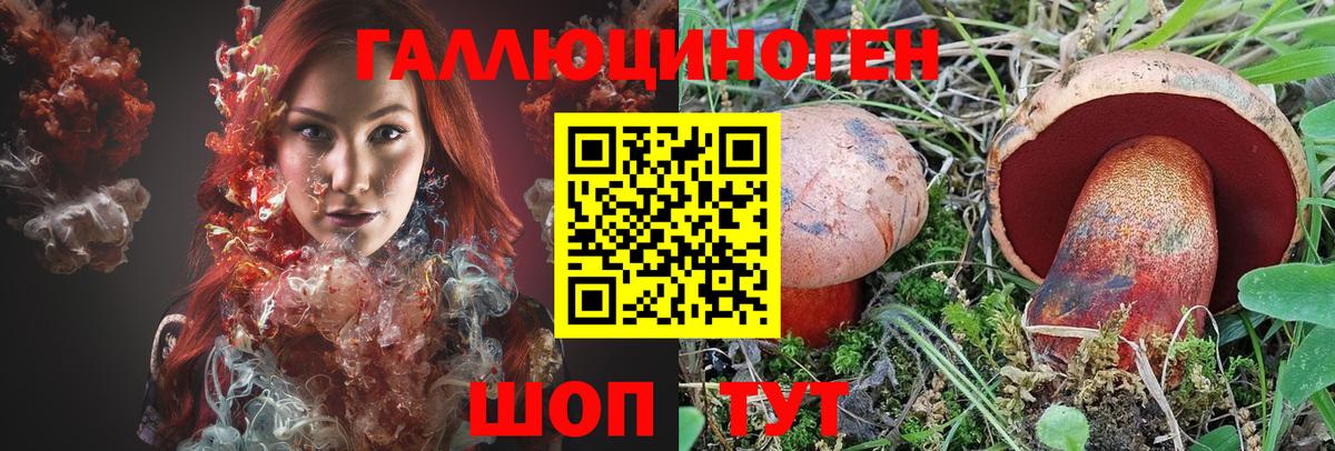 Галлюциногенные грибы Psilocybe Новочеркасск